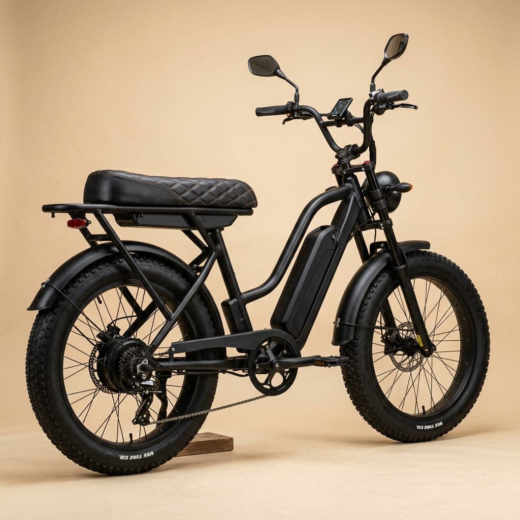 Elektrische fatbike model